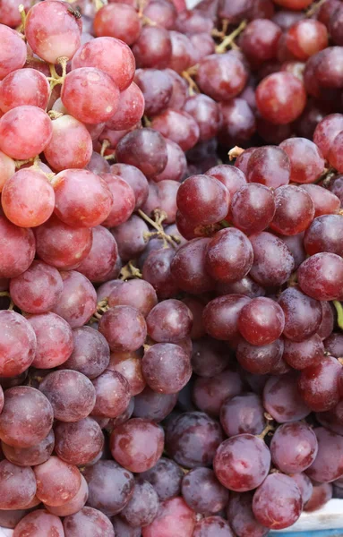 Uva Roja Fresca Fondo Uvas Rojas Maduras — Foto de Stock