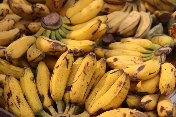 Lots Yellow Bananas Fresh Healthy Food — Stock Photo, Image