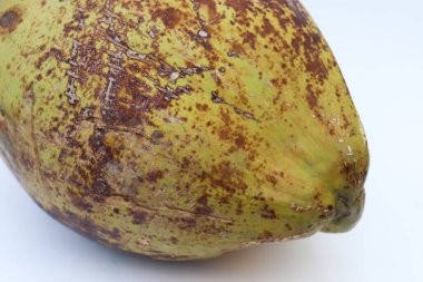 Taze Genç Hindistancevizi Beyaz Arkaplanda İzole Edildi