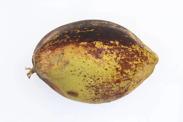 Čerstvé Mladé Kokosové Ořechy Izolované Bílém Pozadí — Stock fotografie