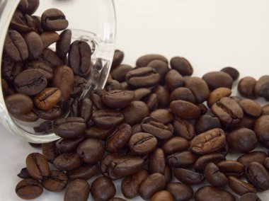 Beyaz arka planda kahve çekirdekleri