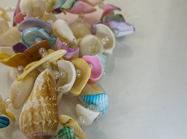 Beyaz arka planda kabuklar ve boncuklar