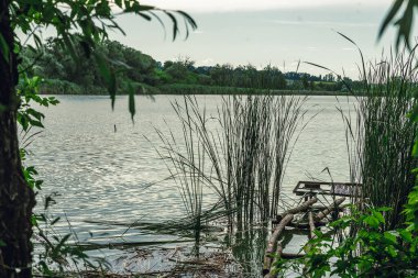 Shore Gölü. Reed mi? Ağaç çalıları. Balıkçı iskelesi.