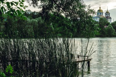 Shore Gölü. Reed mi? Ağaç çalıları. Balıkçı iskelesi.