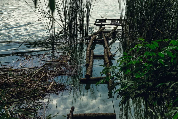 Shore Gölü. Reed mi? Ağaç çalıları. Balıkçı iskelesi. — Stok fotoğraf