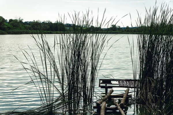 Lago Shore. O Reed. Bilhetes de árvores. Cais de pesca . — Fotografia de Stock