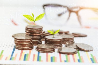 paralar ile finans ve işletme hesabı ve para Finans banka iş kavramı kaydetmek için küçük ağaç yığını