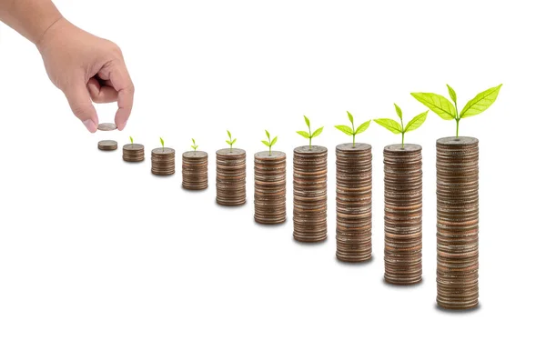 Male Hand Putting Money Coin Stack Small Tree Top Growing — Stock Photo, Image