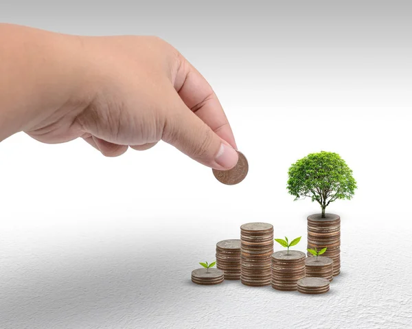 お金の概念がお金を持っている男性の手によってプリセット保存コイン スタック 成長するビジネスの概念は 灰色の背景に小さなツリー — ストック写真
