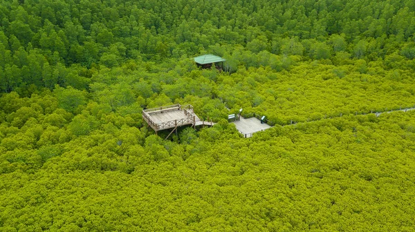 Flygfoto Synvinkel Mangrove Tung Prong Thong Eller Golden Mangrove Området — Stockfoto