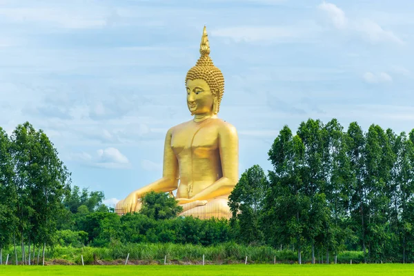 Adegan Lapangan Rice Dan Patung Buddha Emas Besar Kuil Wat — Stok Foto