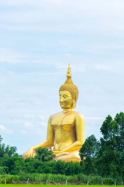 Cenário Campo Arroz Grande Estátua Buda Ouro Wat Muang Templo — Fotografia de Stock