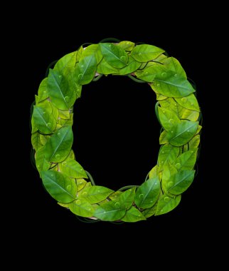 Kırpma yolu ile siyah arka plan üzerine alfabesi harfleri yaprakları 