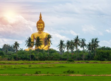 Pirinç alan ve büyük altın Buddha heykeli Wat Muang Tapınağı landmark angthong il, Tayland