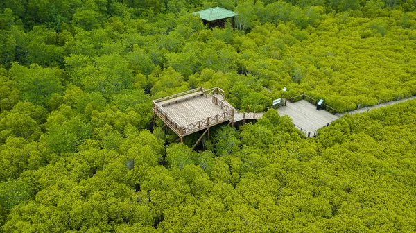 Aerial view, Viewpoint of Mangroves in Tung Prong Thong or Golden Mangrove Field at Estuary Pra Sae, Rayong, Thailand