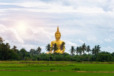 Pirinç alan ve büyük altın Buddha heykeli Wat Muang Tapınağı landmark angthong il, Tayland