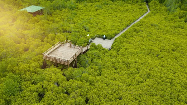 Vue Aérienne Point Vue Des Mangroves Tung Prong Thong Golden — Photo