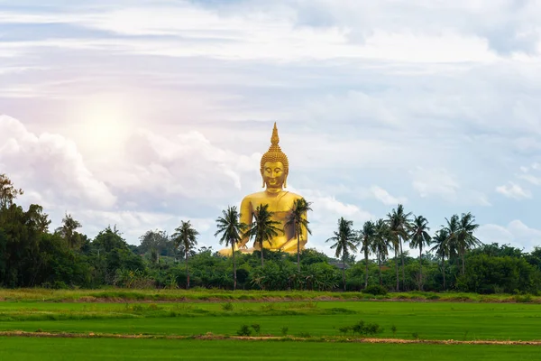 Paesaggio Del Campo Riso Grande Statua Buddha Oro Tempio Wat — Foto Stock