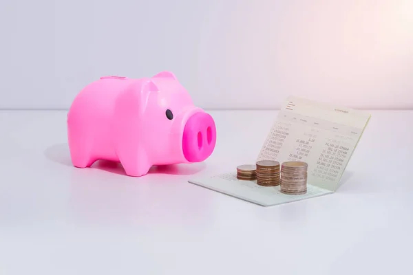 Paralar Piggy Banka Hesap Kitap Banka Masada Düzenekte Bankacılık Finans — Stok fotoğraf
