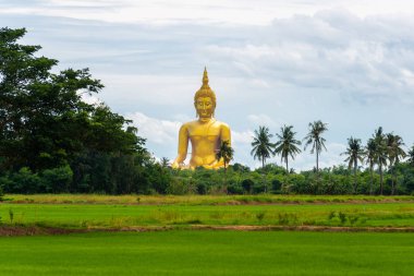 Pirinç alan ve büyük altın Buddha heykeli Wat Muang Tapınağı landmark angthong il, Tayland