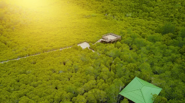 Flygfoto Synvinkel Mangrove Tung Prong Thong Eller Golden Mangrove Området — Stockfoto