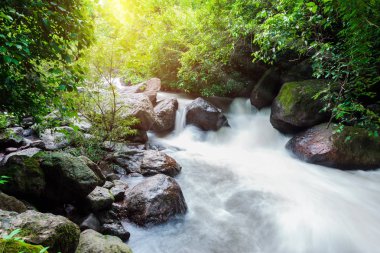 Güzel Nangrong şelale Tayland nakhon nayok ili. Milli park alanında.