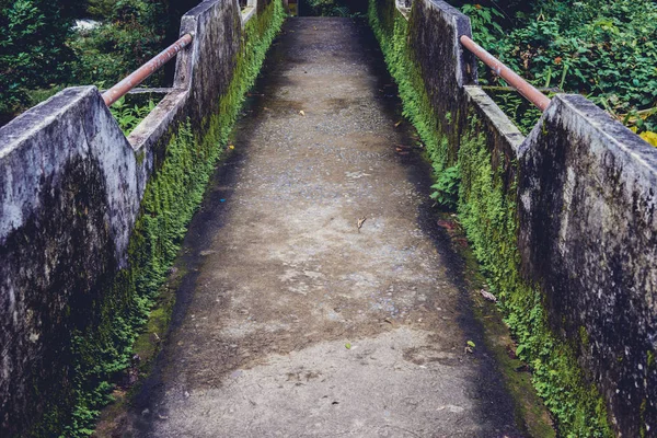 Oude Betonnen Brug Met Groene Brug Voor Het Overschrijden Van — Stockfoto