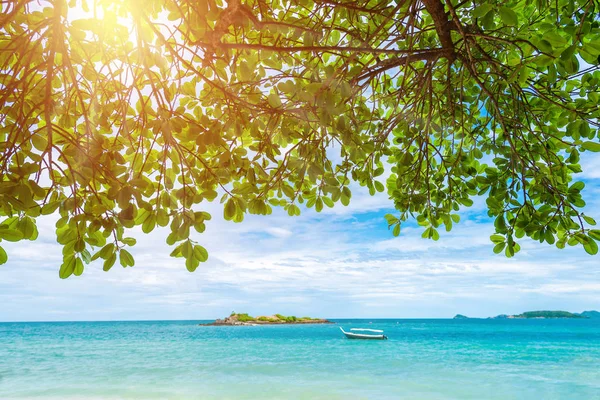 Fondo Hojas Verdes Con Playa Tropical Costa Rocosa Mar Agua — Foto de Stock