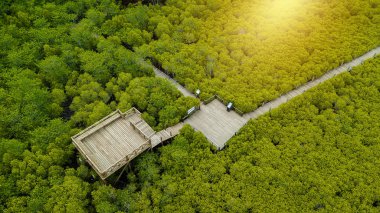 Aerial view, Viewpoint of Mangroves in Tung Prong Thong or Golden Mangrove Field at Estuary Pra Sae, Rayong, Thailand clipart
