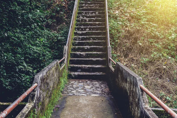 Oude Betonnen Brug Trap Met Groene Brug Voor Het Overschrijden — Stockfoto