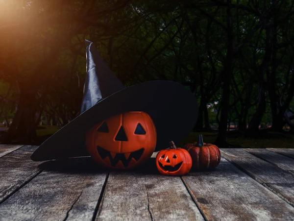 Cadılar Bayramı Arka Plan Ürkütücü Kabak Cadı Şapkası Karanlık Orman — Stok fotoğraf