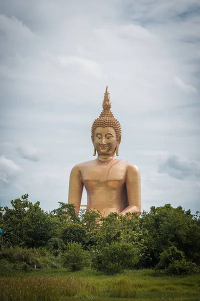 Paisaje Del Campo Arroz Gran Estatua Oro Buda Monumento Del —  Fotos de Stock