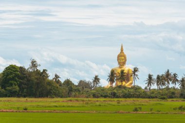 Pirinç alan ve büyük altın Buddha heykeli Wat Muang Tapınağı landmark angthong il, Tayland