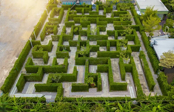 Vista Aerea Della Decorazione Del Giardino Labirinto Con Recinzione Muro — Foto Stock