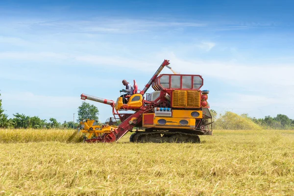 Combineren Van Harvester Bezig Met Rijst Veld Oogsten Het Proces — Stockfoto
