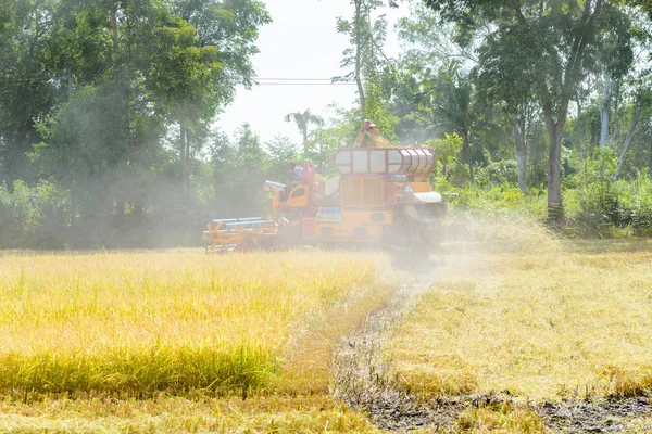 Skördetröska Arbetar Risfält Skörd Processen Att Samla Mogen Gröda Från — Stockfoto