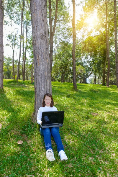 Park Dizüstü Bilgisayar Kullanırken Yaz Günü Büyük Ağacın Altında Yeşil — Stok fotoğraf