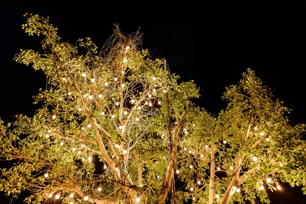 Bombilla Decoración Aire Libre Colgando Árbol Noche —  Fotos de Stock