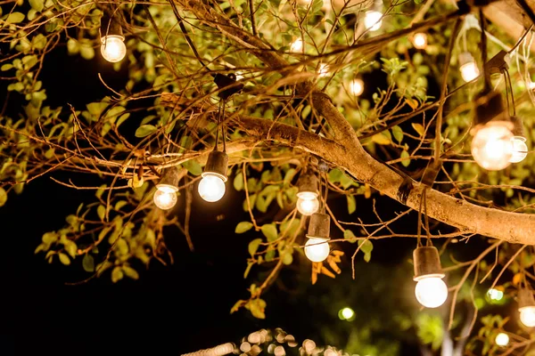 Light bulb,Decorative outdoor hanging on tree in night time