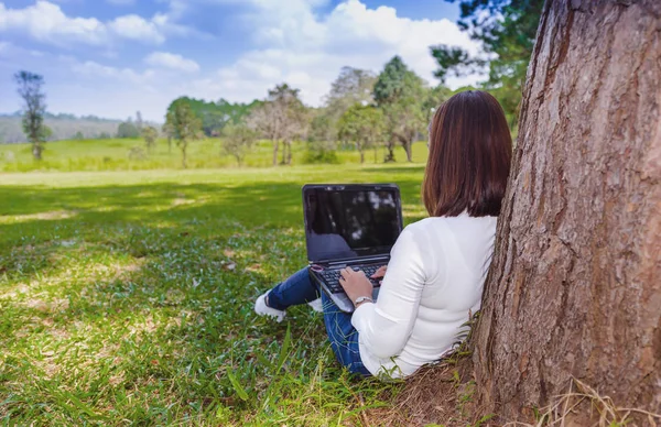 Achteraanzicht Van Jonge Vrouw Zittend Groen Gras Onder Een Grote — Stockfoto