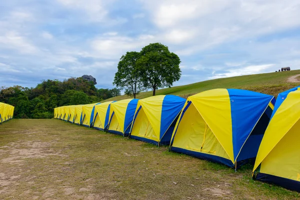 Row Tent Camping Place Doi Samer Dao Sri Nan National — Stock Photo, Image