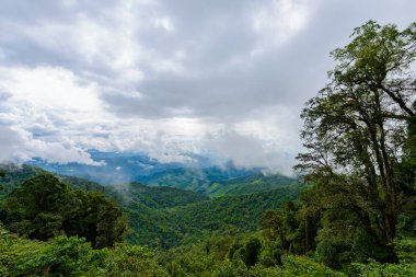 Dağ ve deniz sis sabah görünümü