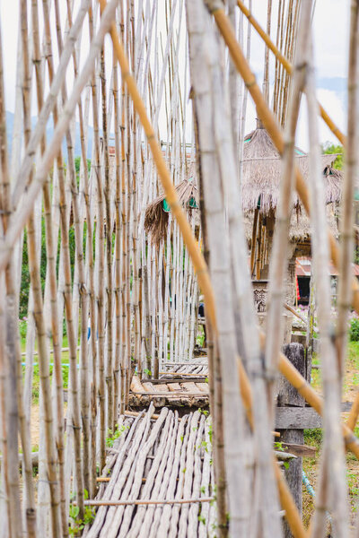 Walkway was built from bamboo to walk through on the rice field