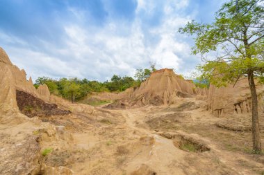 Peyzaj toprak kaplamaların aşınmış kumtaşı sütunlar, sütun ve