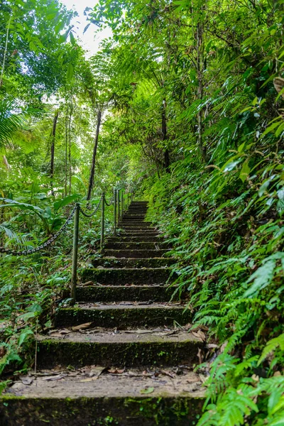 この場所はサパーン村、Boklua Dis でこの場所はサパーン滝の自然風景 — ストック写真