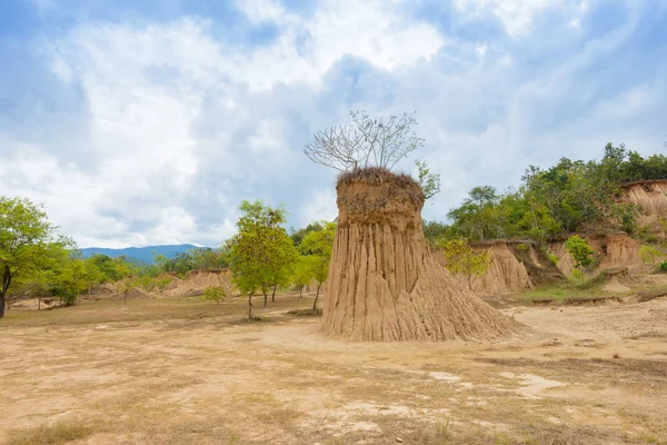 Peyzaj toprak kaplamaların aşınmış kumtaşı sütunlar, sütun ve