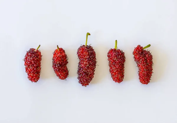 Frutas de amoreira orgânicas em fundo branco — Fotografia de Stock