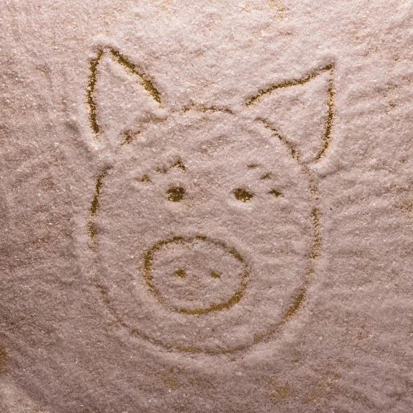 Image Lumineuse Symbole 2019 Nouvelle Année Cochon Dans Neige — Photo