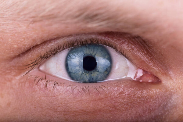 Внимательный проникающий мужской взгляд. Глаза мужчины крупным планом

