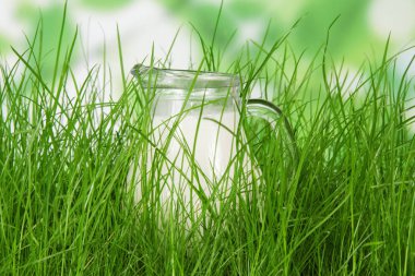 Doğal süt kavramı. Yemyeşil çim taze süt ile karafe